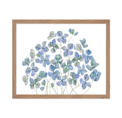 Blue Hydrangea Petals