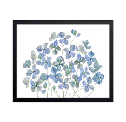 Blue Hydrangea Petals