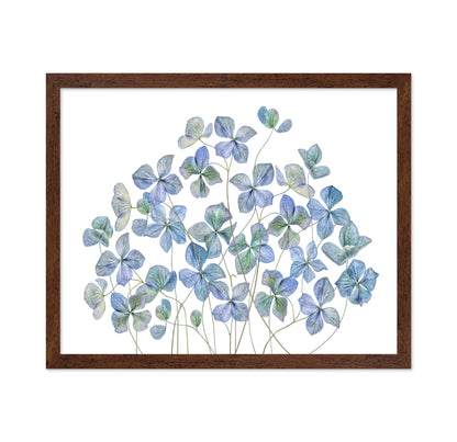 Blue Hydrangea Petals