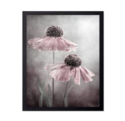Pink Coneflower Duet