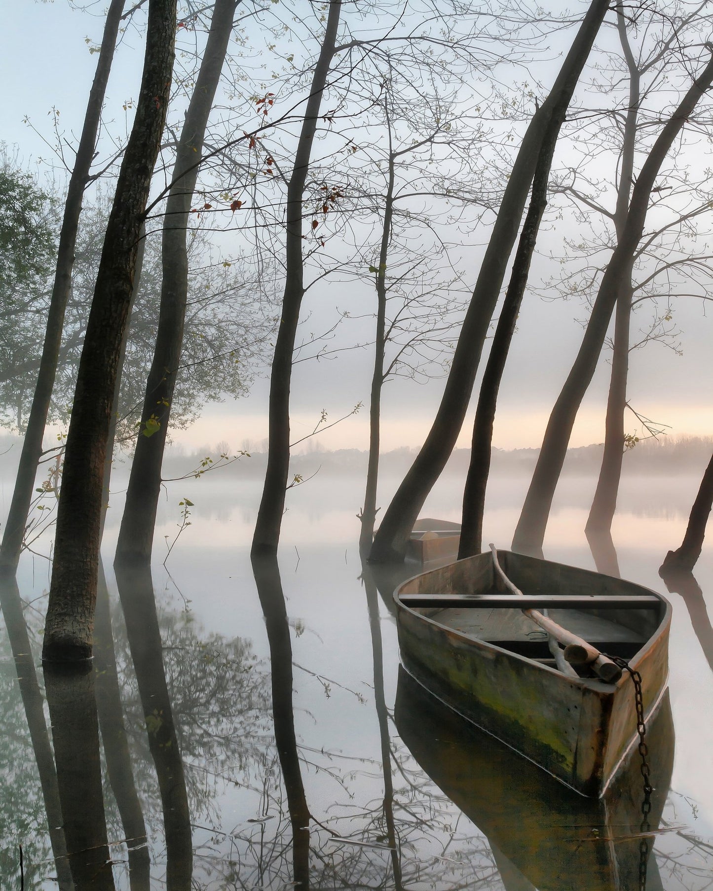 Boat In Misty Lake