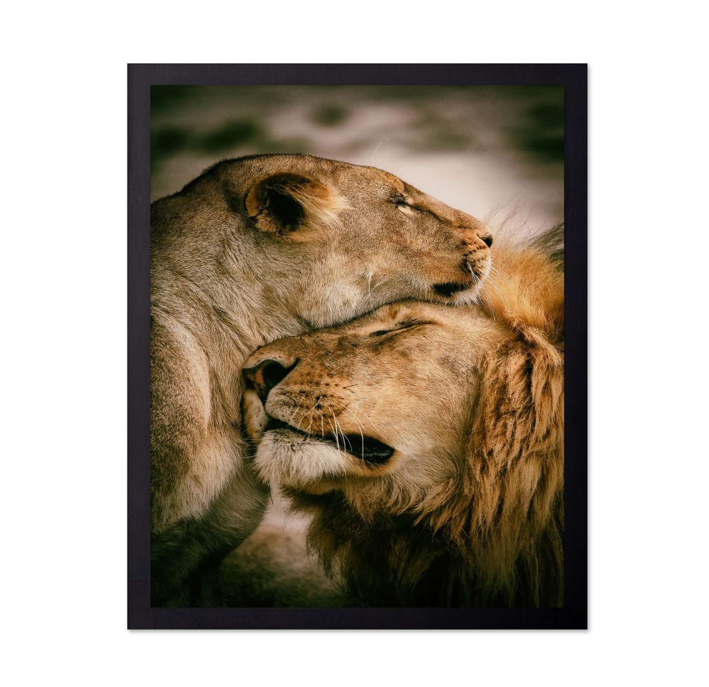 Lion Couple Bond No1