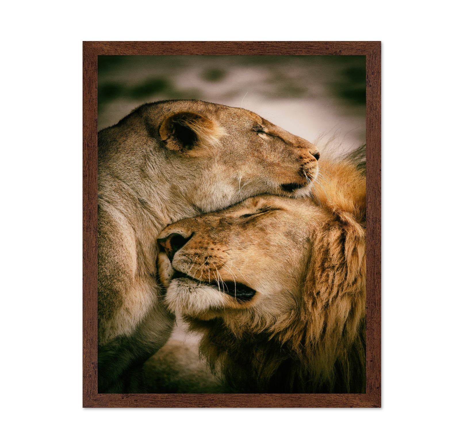 Lion Couple Bond No1