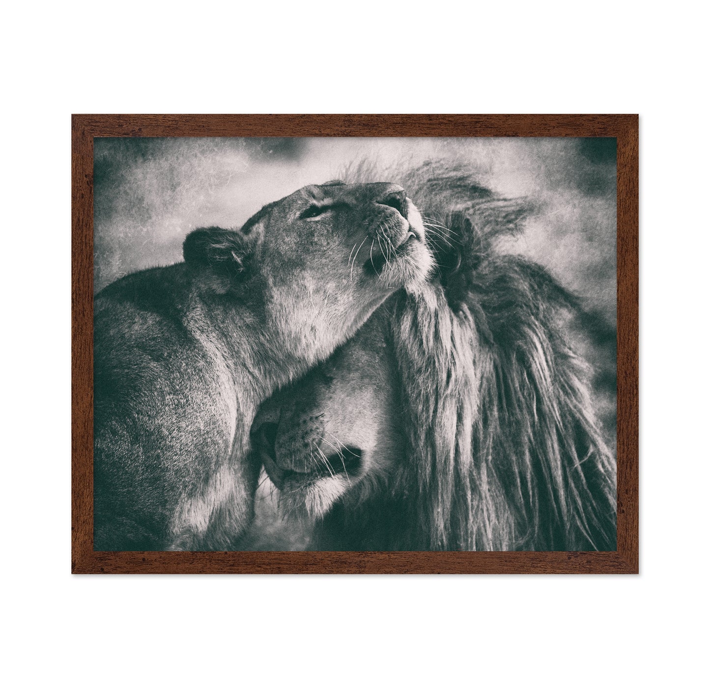 Lion Pair Bond