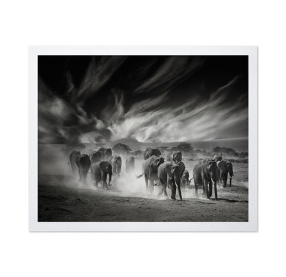 Elephant Herd In Dust