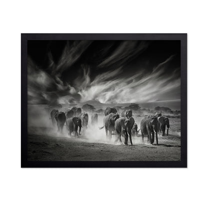 Elephant Herd In Dust