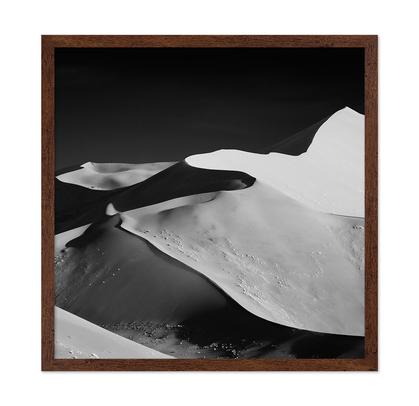 Desert Dune Shadows