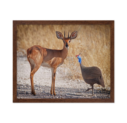 Antelope And Bird