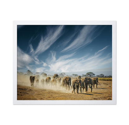 Elephant Herd March