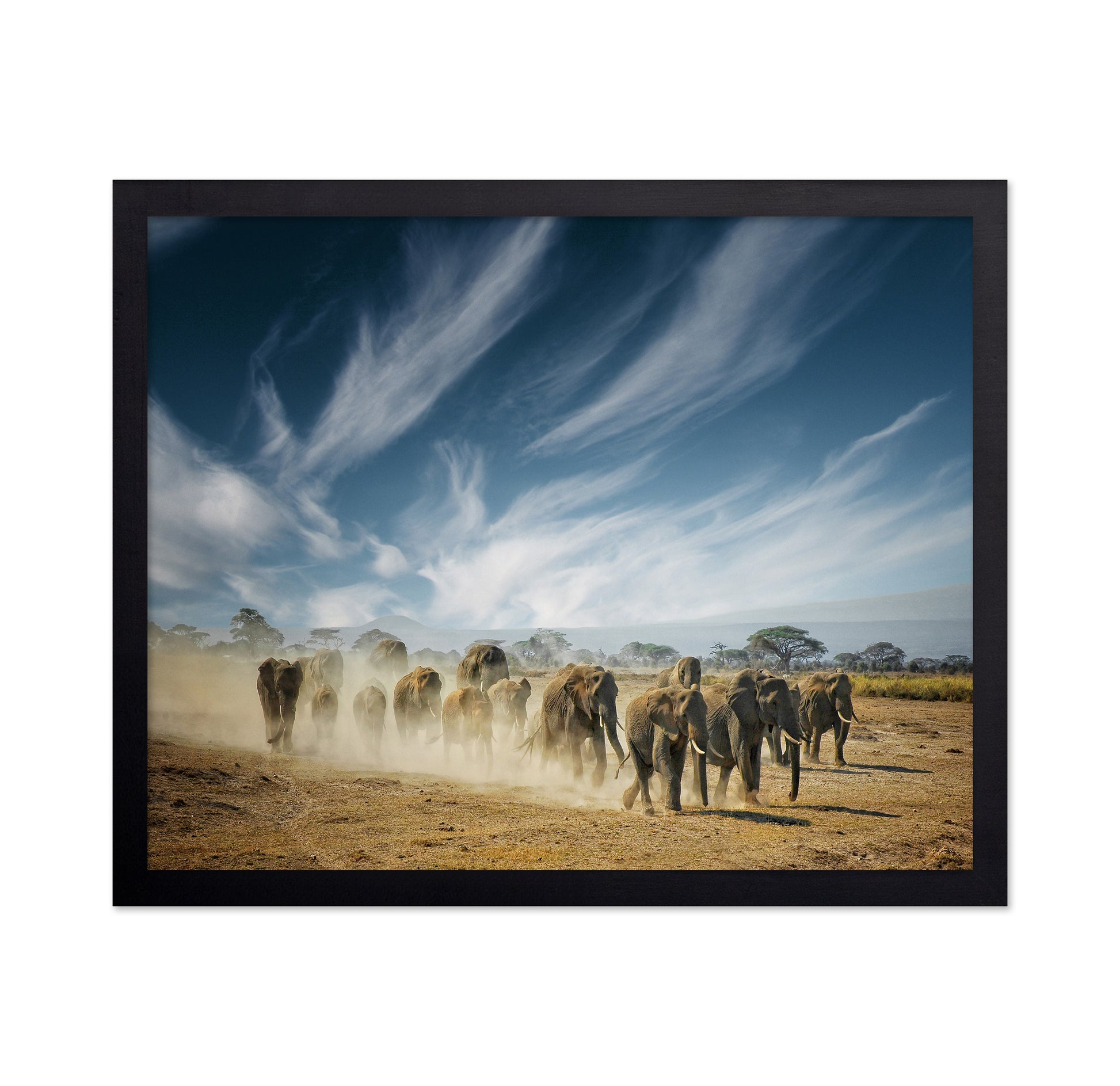 Elephant Herd March