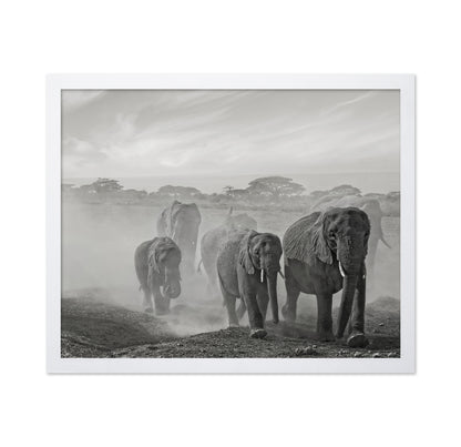 Elephant Walk In Dust