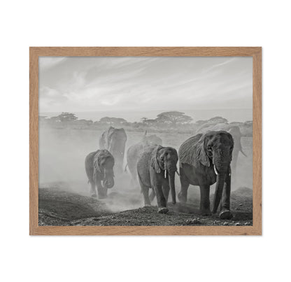 Elephant Walk In Dust