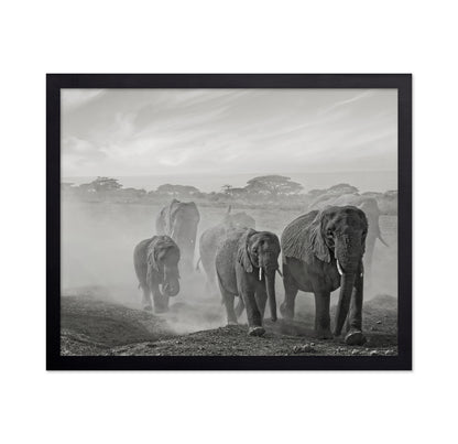 Elephant Walk In Dust
