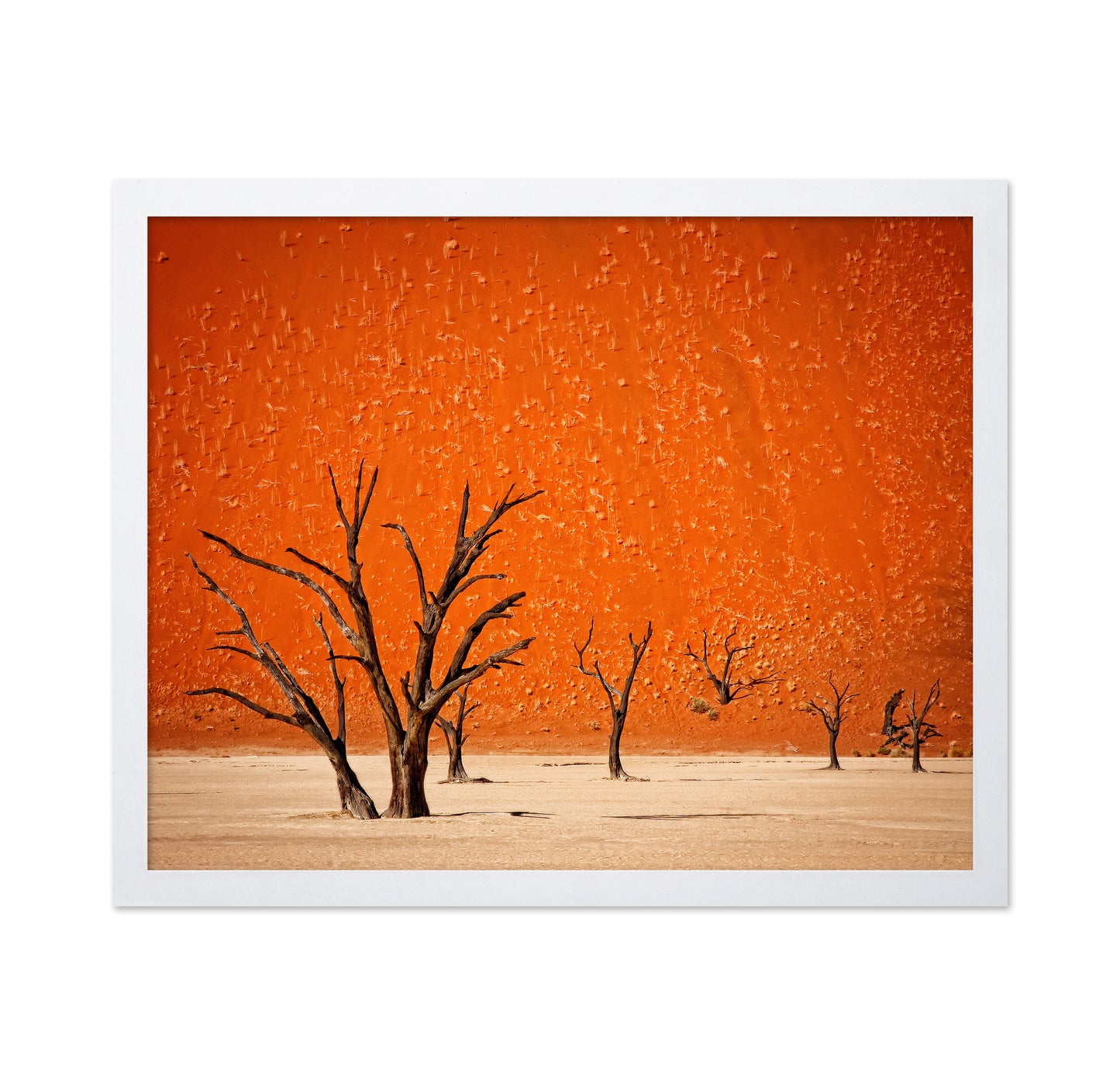 Desert Trees Silhouette