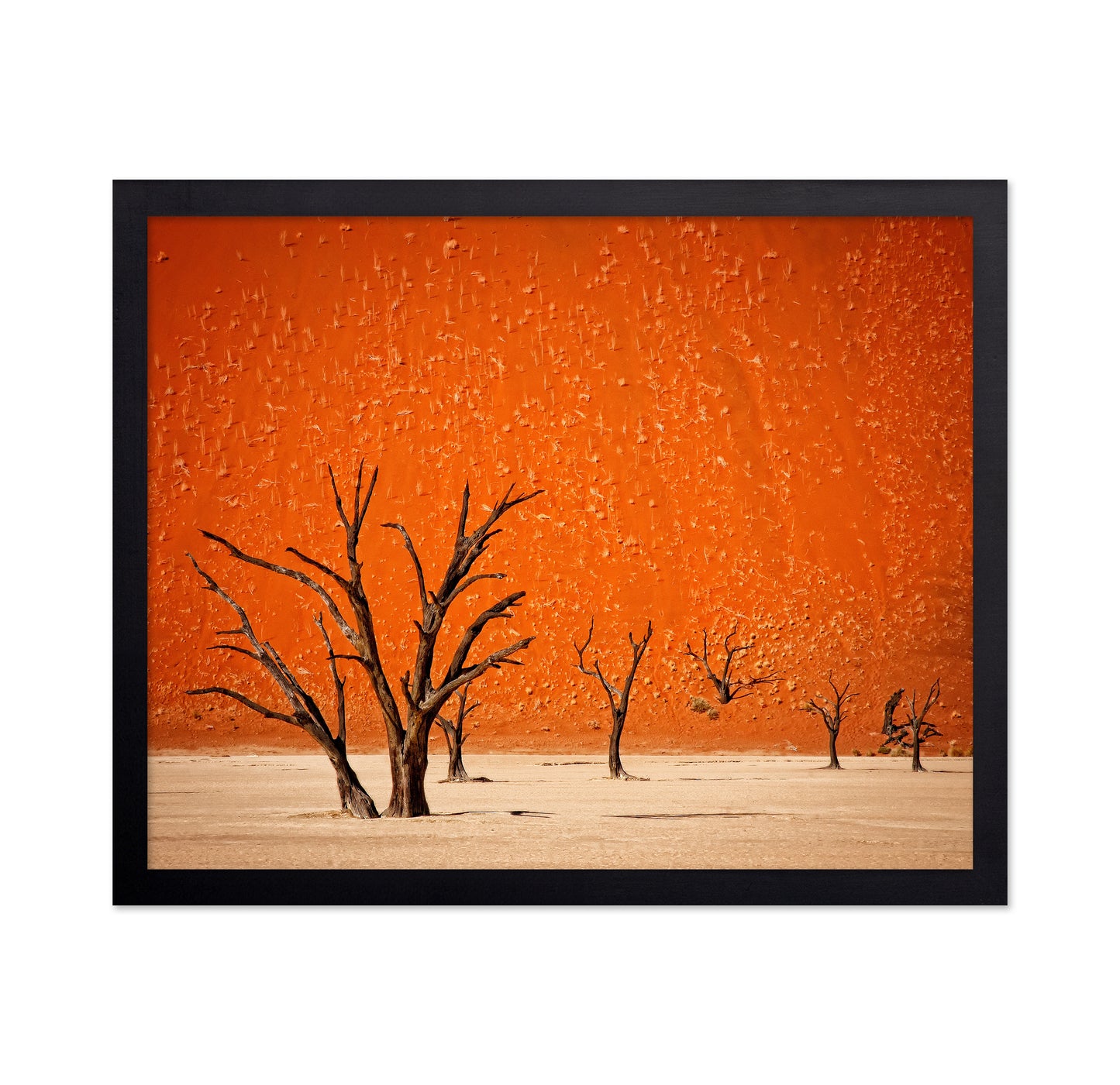 Desert Trees Silhouette