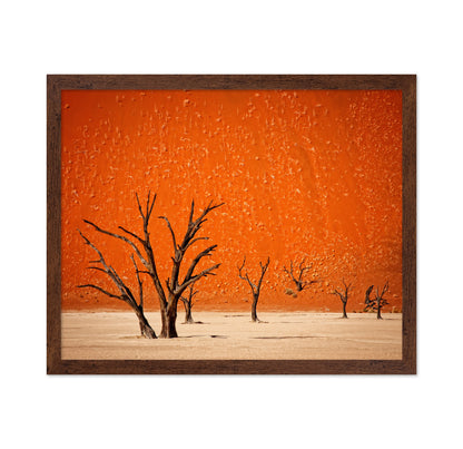 Desert Trees Silhouette