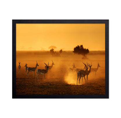 Antelope At Sunset