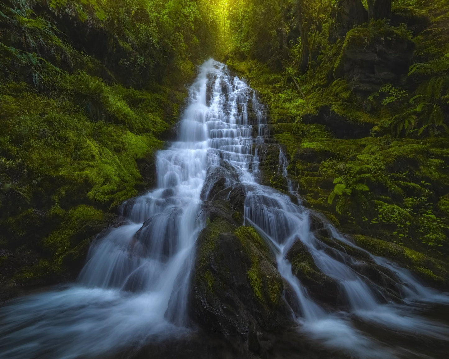 Forest Cascade Falls