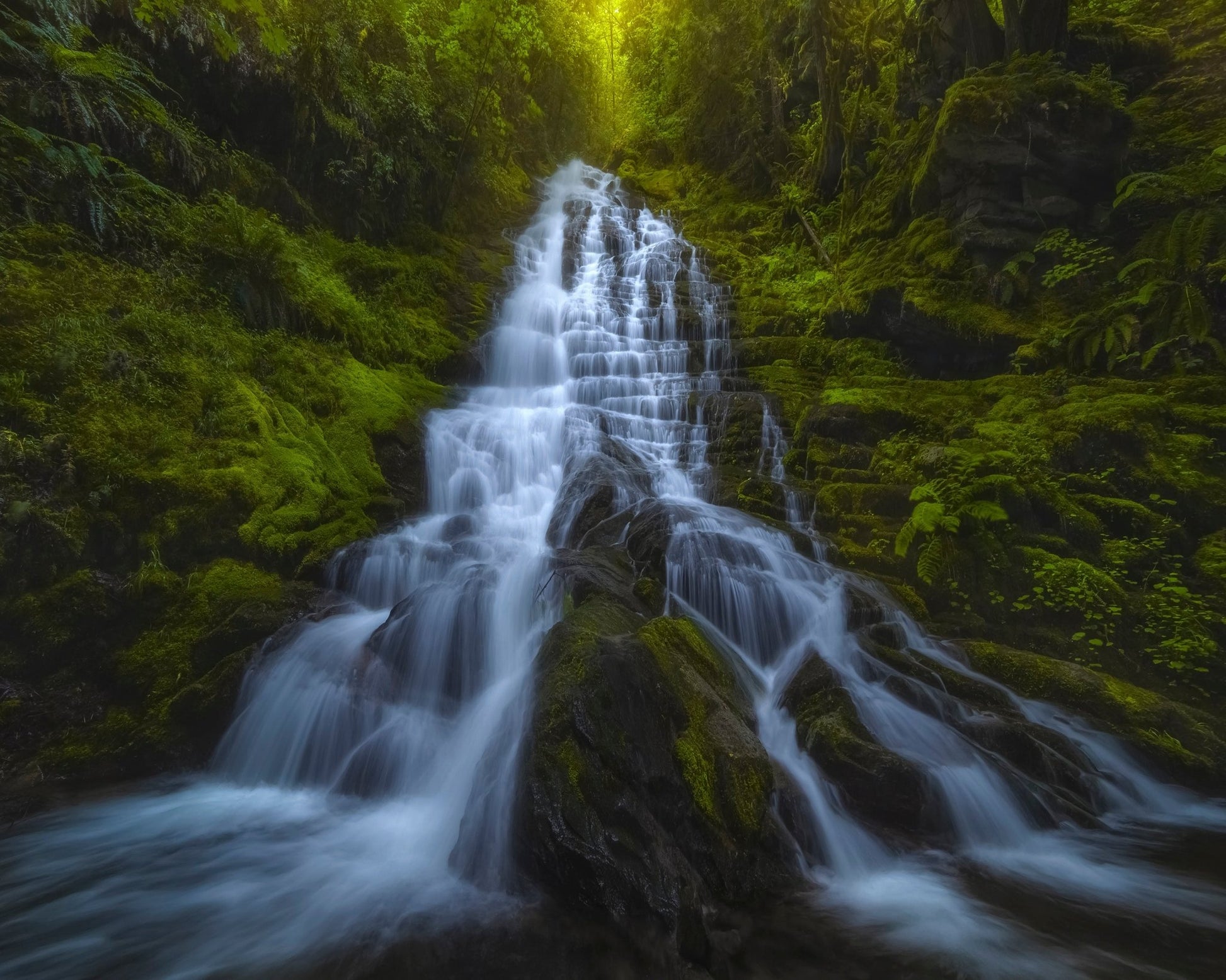 Forest Cascade Falls