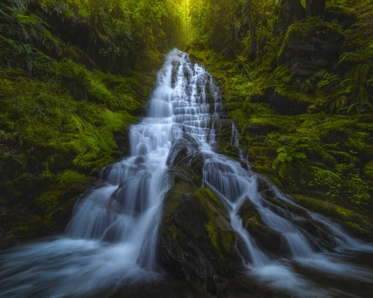 Forest Cascade Falls