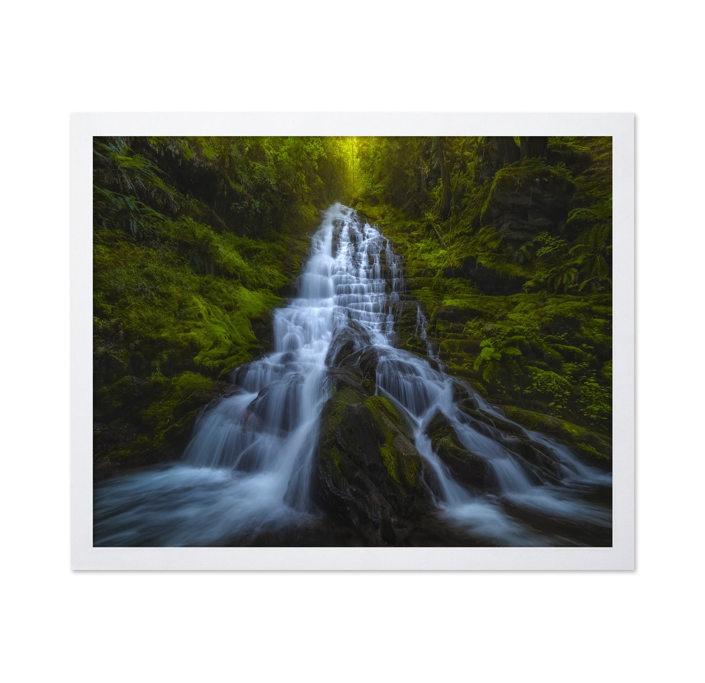 Forest Cascade Falls