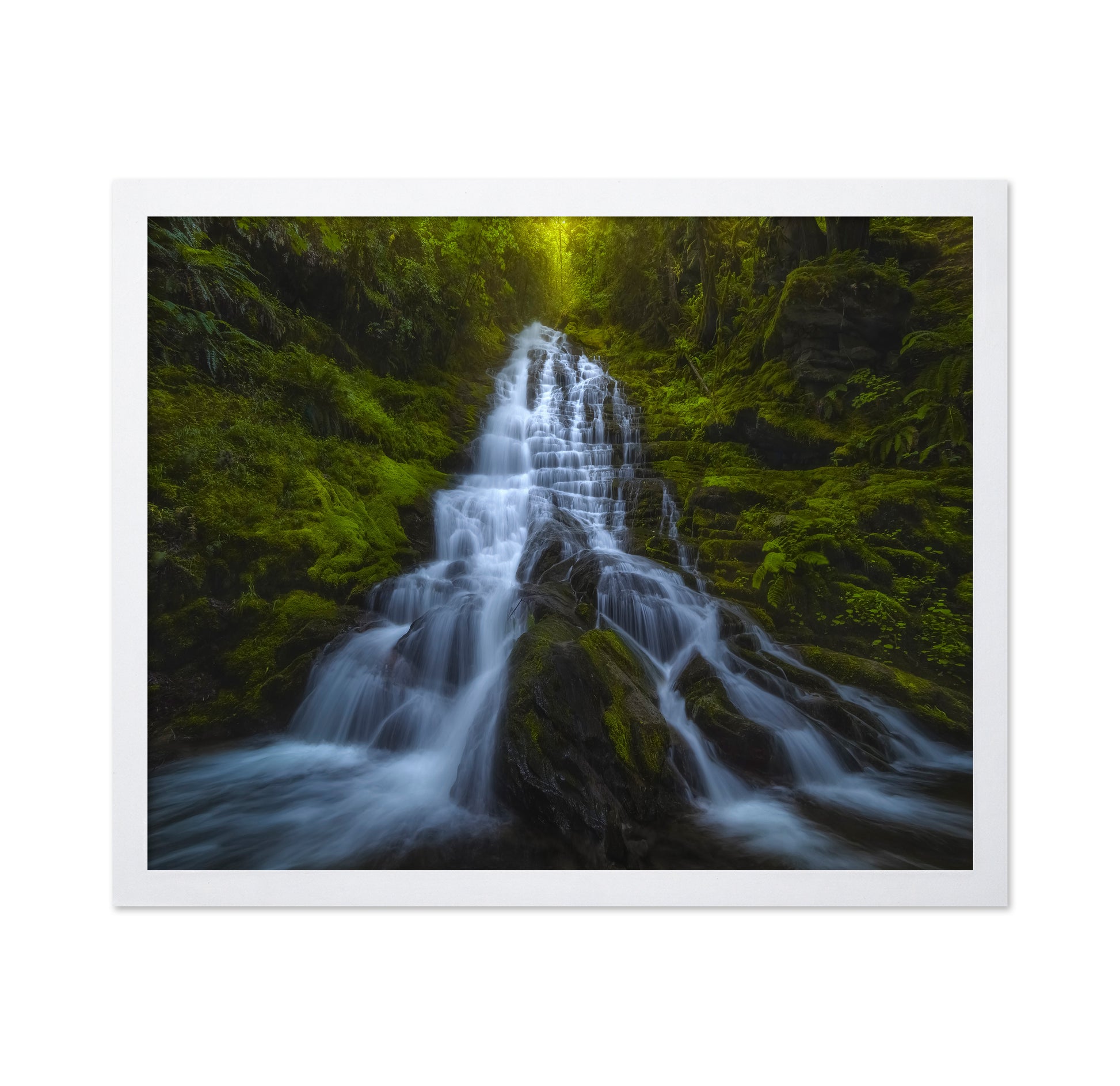Forest Cascade Falls