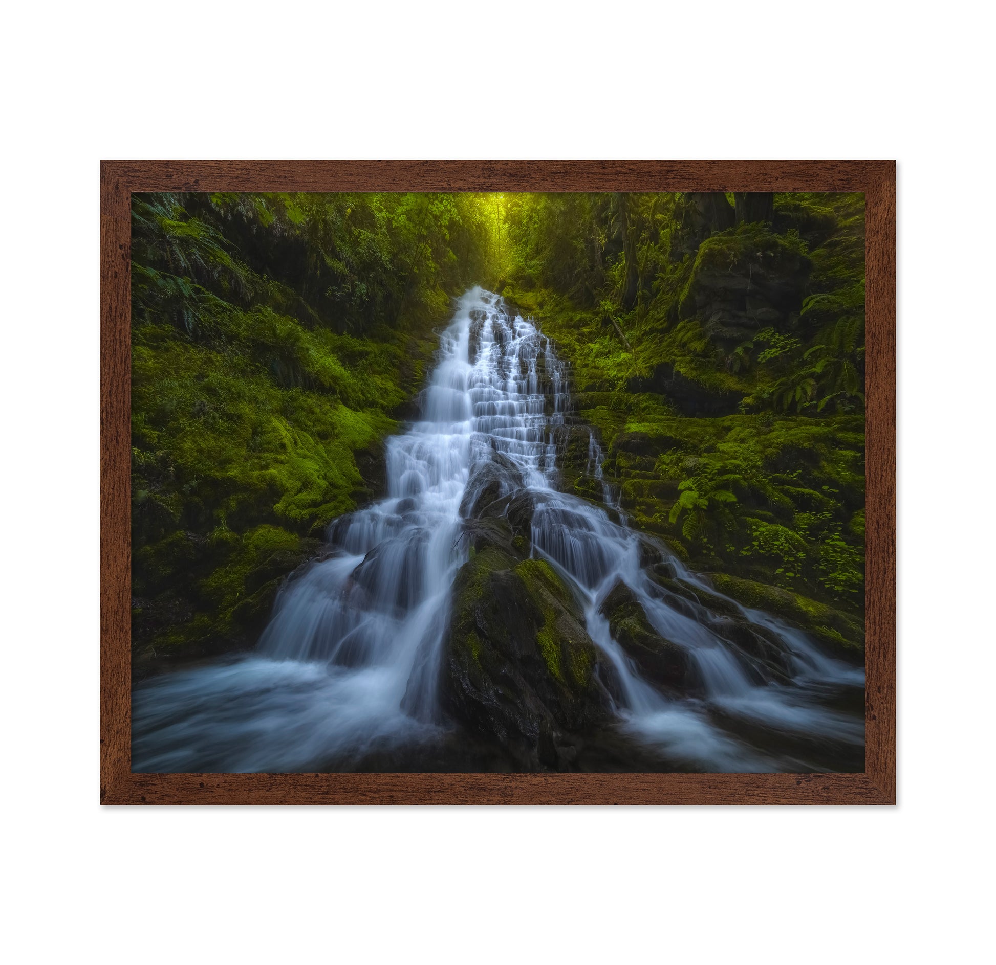 Forest Cascade Falls