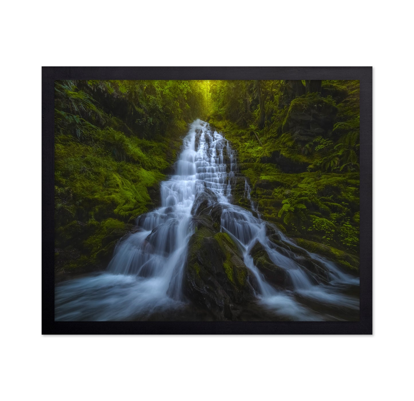 Forest Cascade Falls