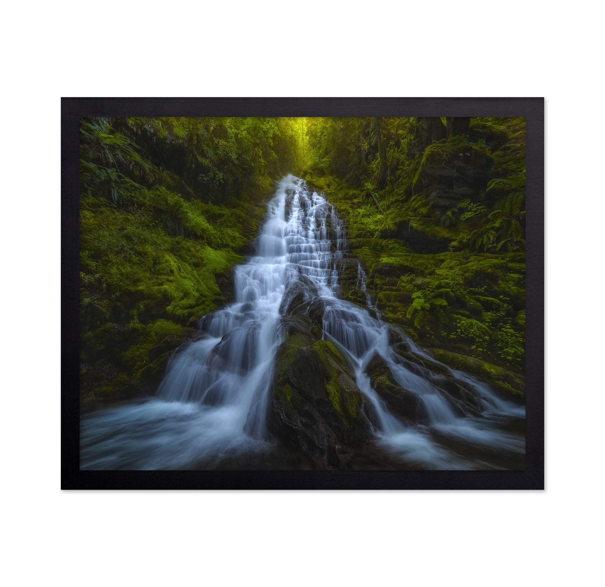 Forest Cascade Falls