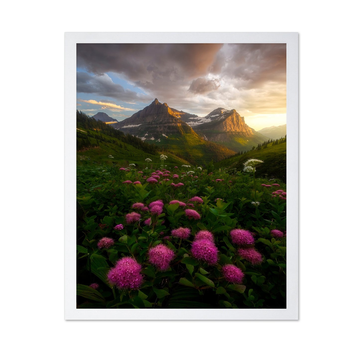 Alpine Wildflower Valley