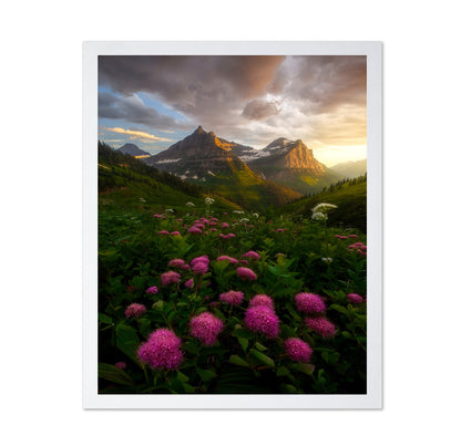 Alpine Wildflower Valley