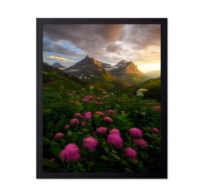 Alpine Wildflower Valley