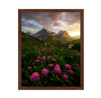 Alpine Wildflower Valley