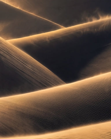 Golden Sand Dunes No1