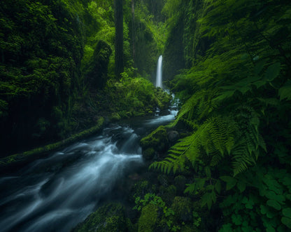 Forest Waterfall Stream