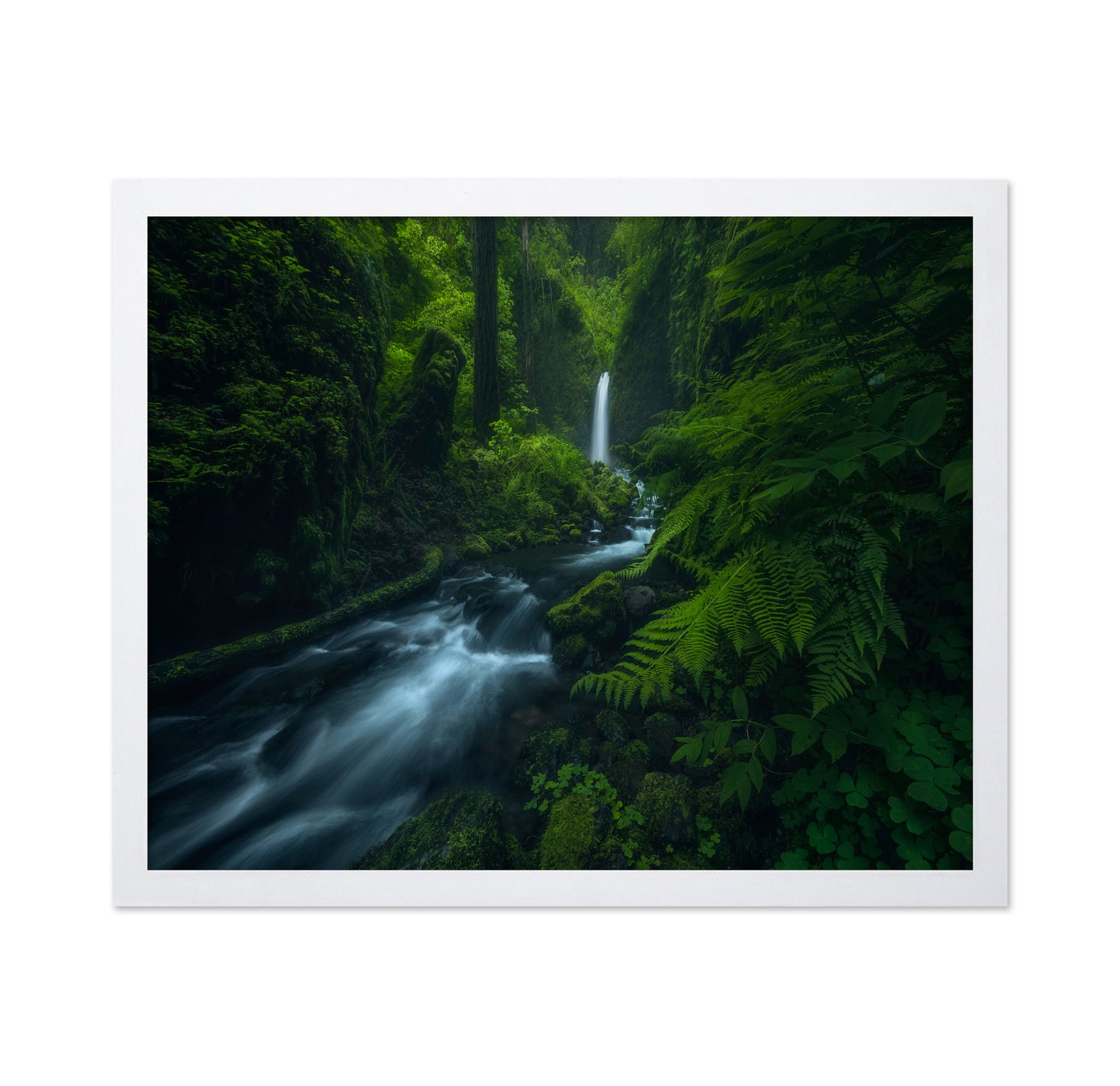 Forest Waterfall Stream