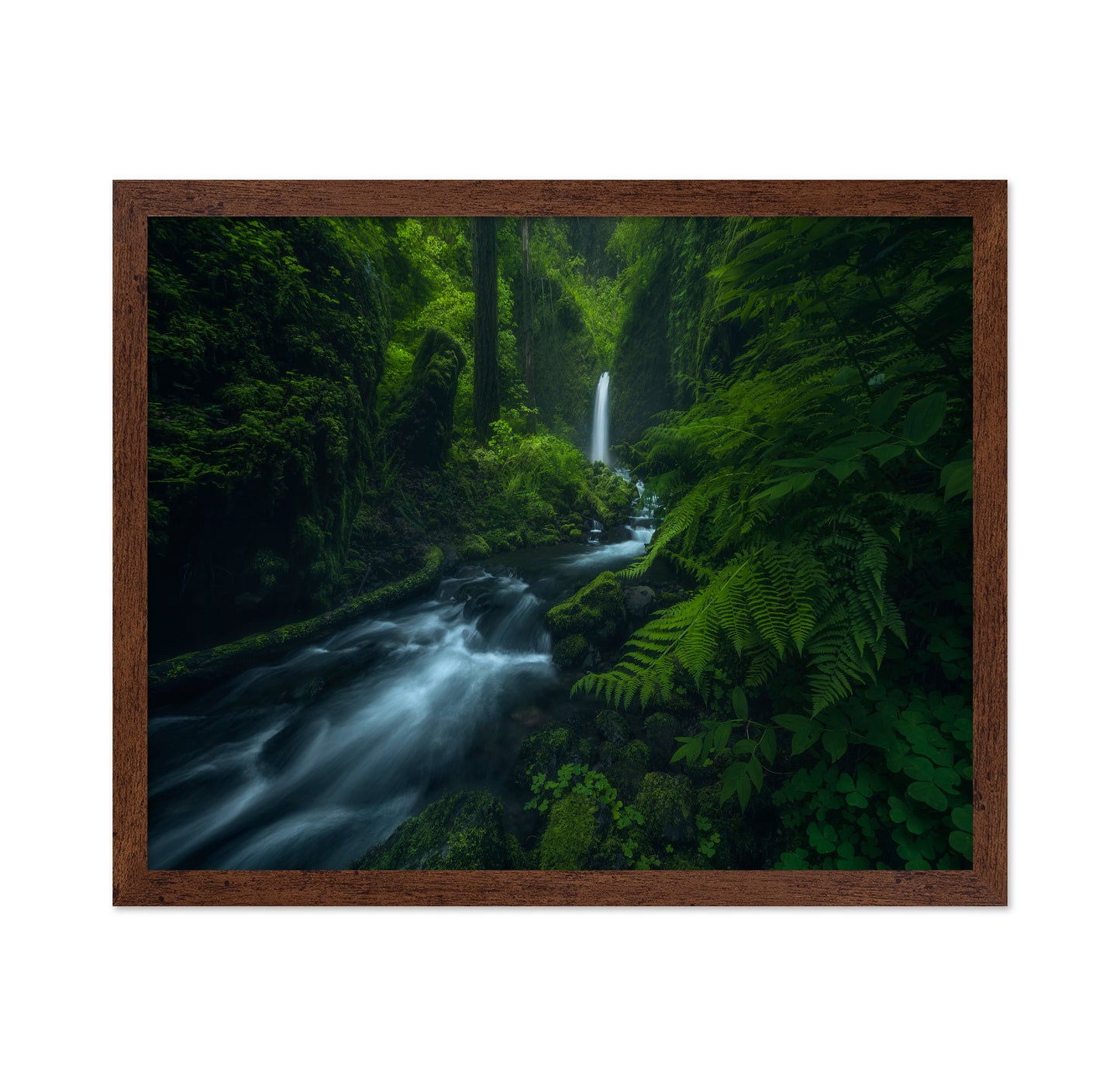 Forest Waterfall Stream