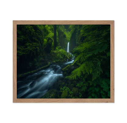 Forest Waterfall Stream
