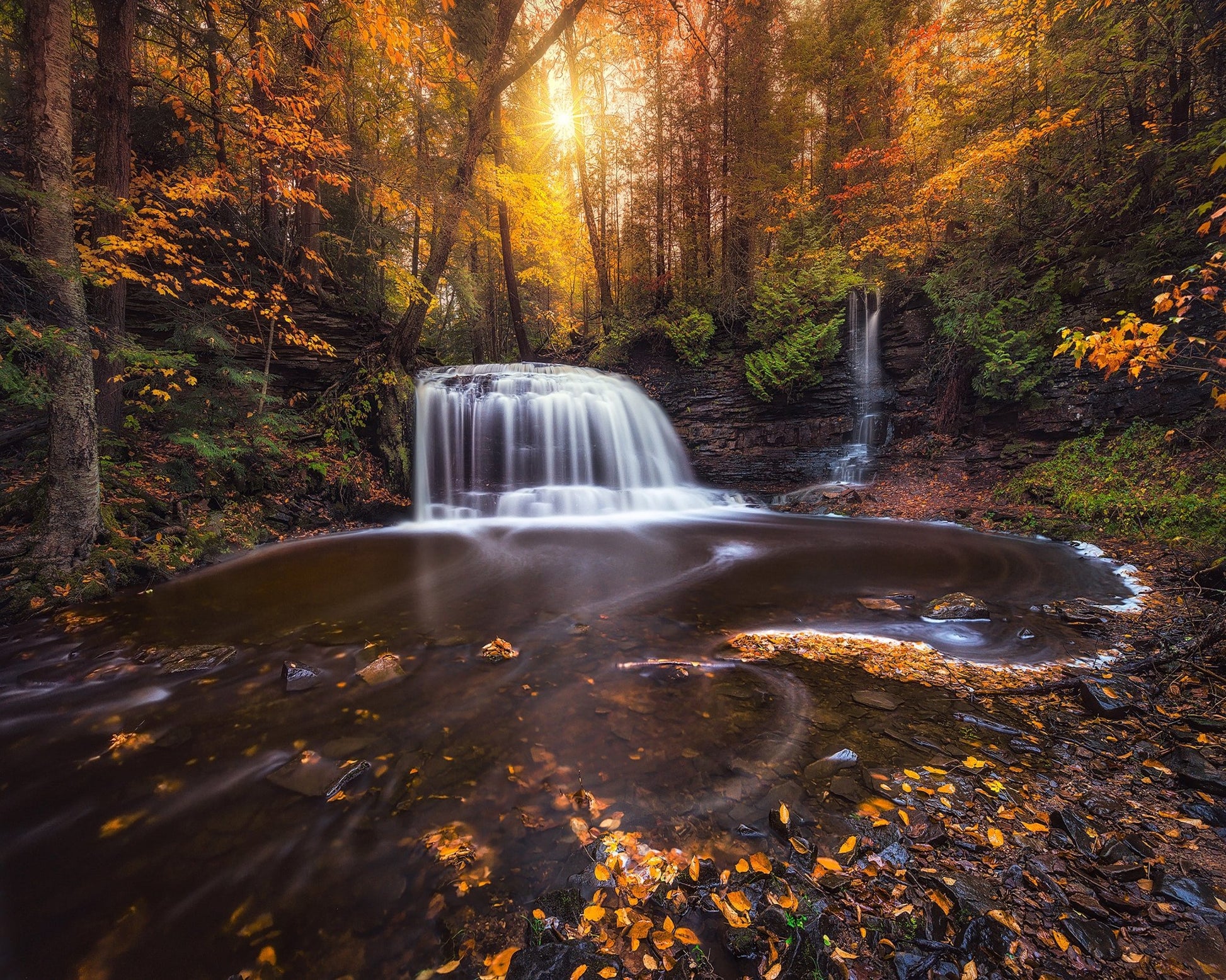 Autumn Forest Falls