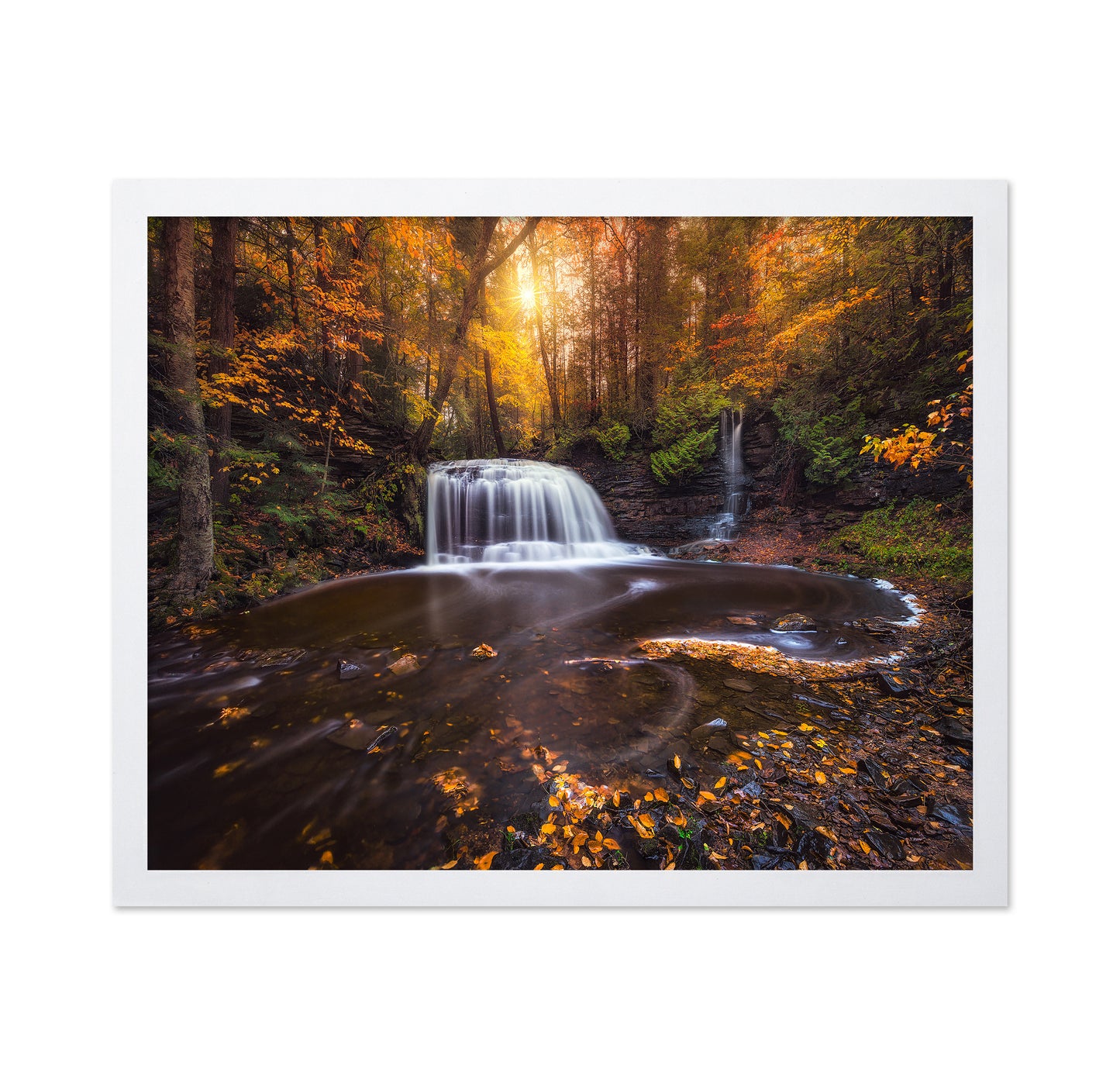 Autumn Forest Falls