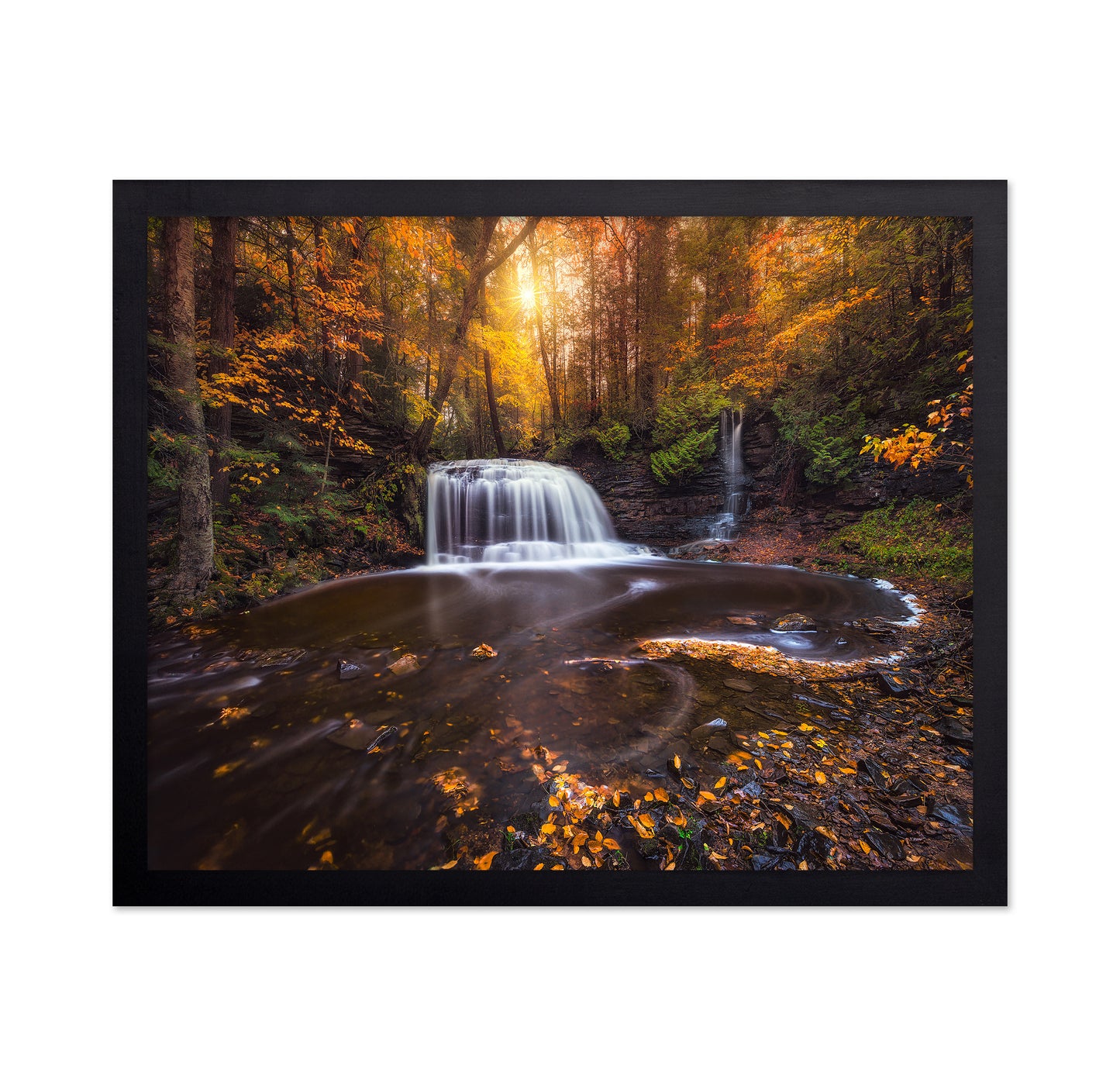 Autumn Forest Falls