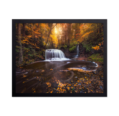 Autumn Forest Falls