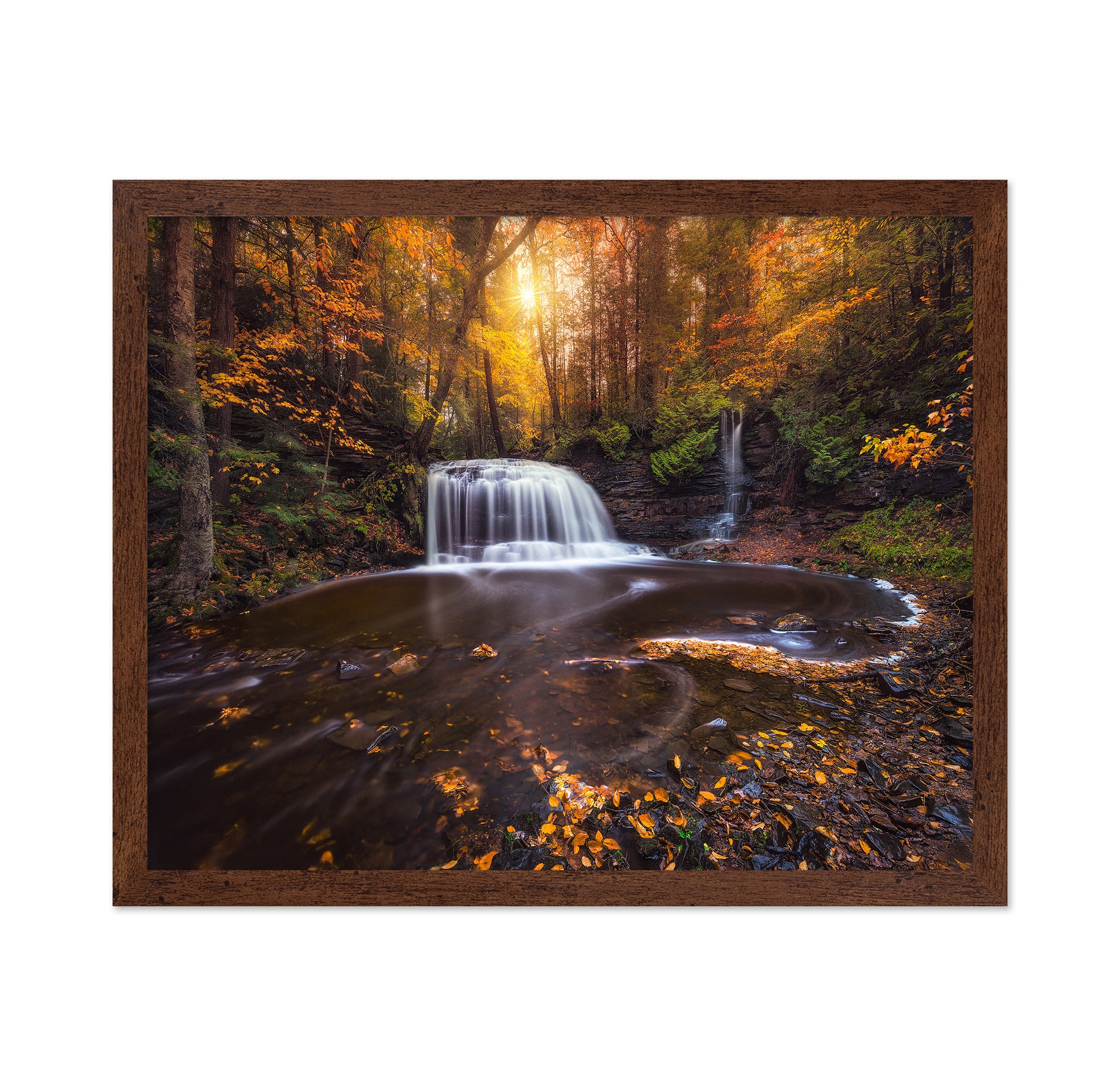 Autumn Forest Falls