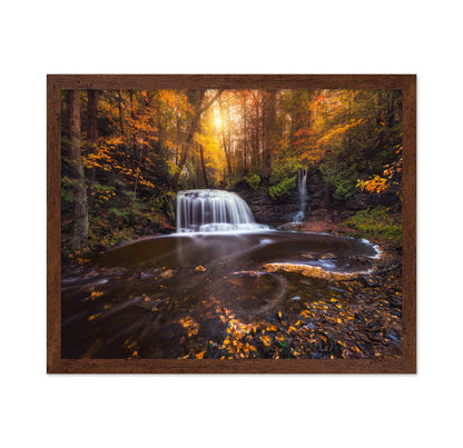 Autumn Forest Falls