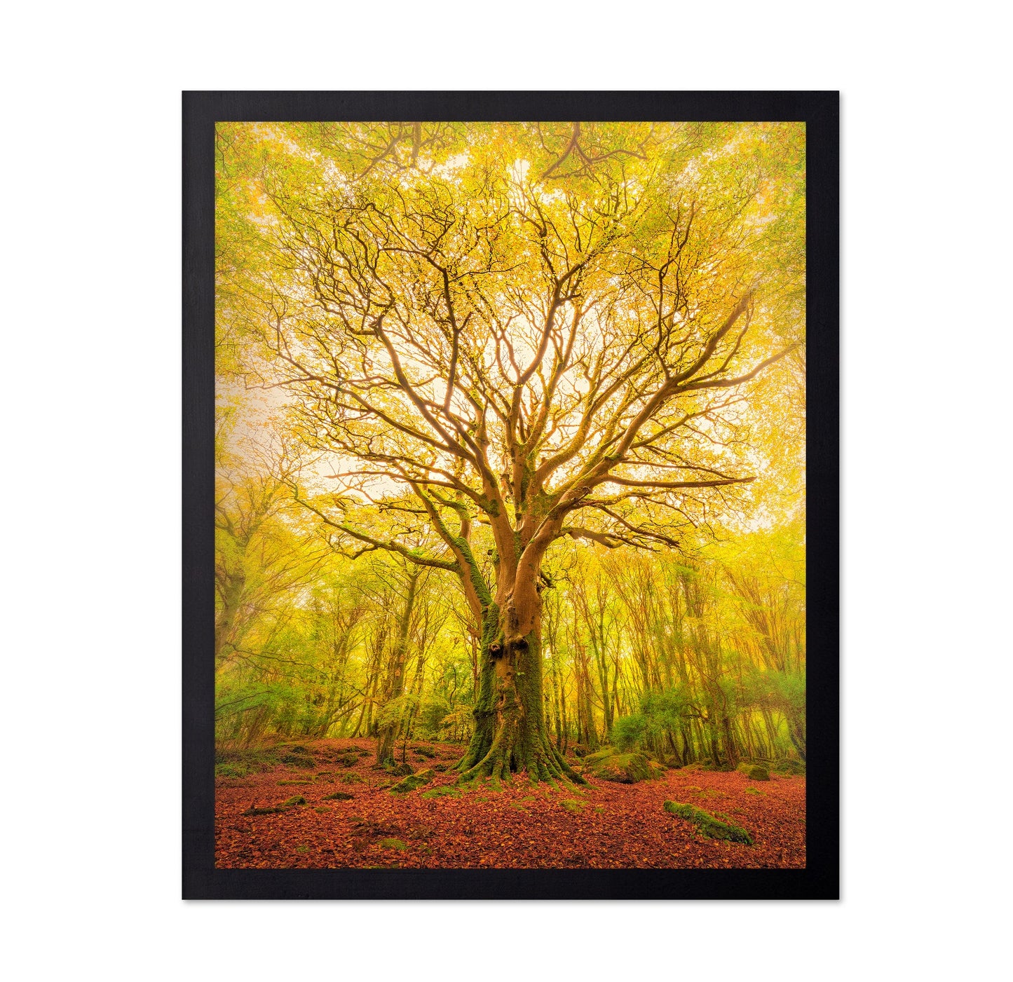 Golden Forest Tree