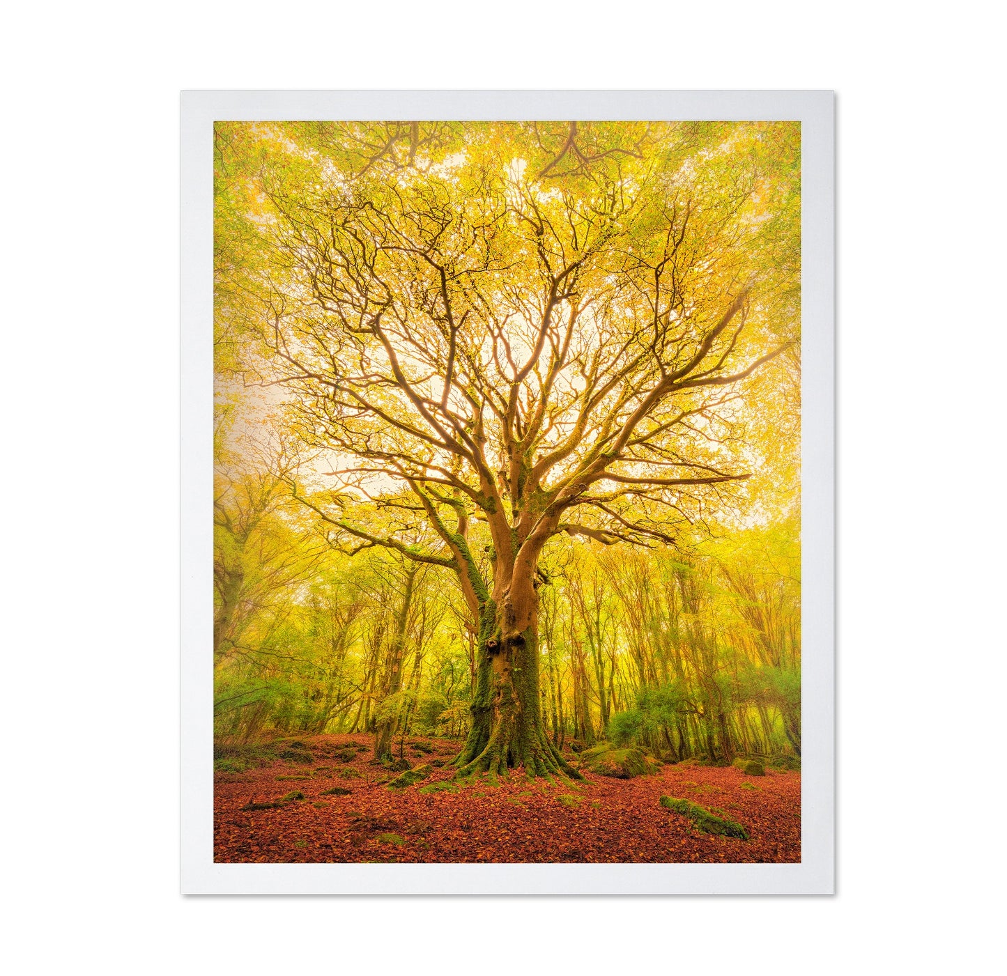 Golden Forest Tree