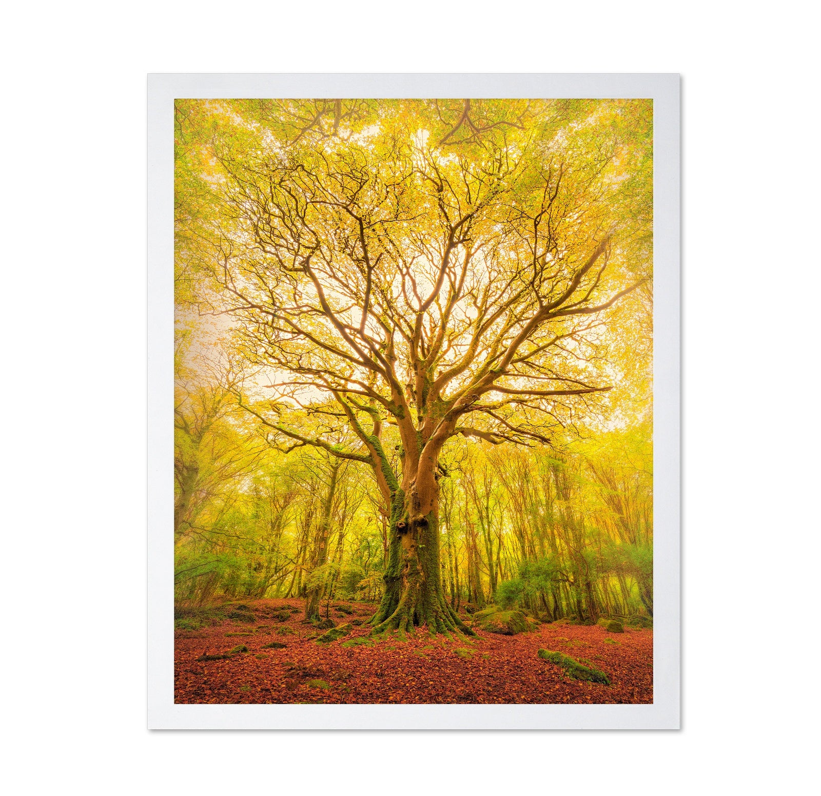 Golden Forest Tree