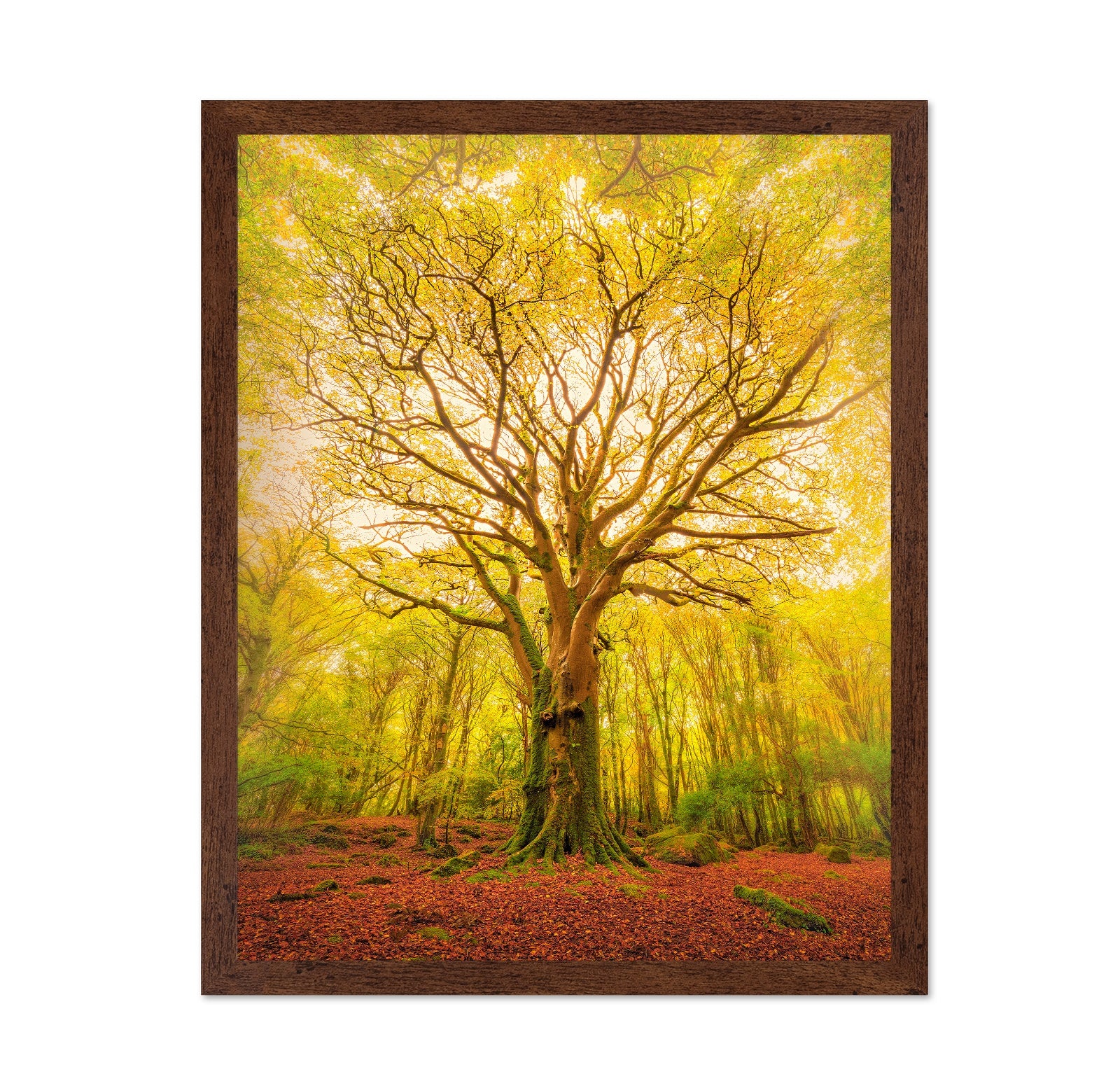 Golden Forest Tree