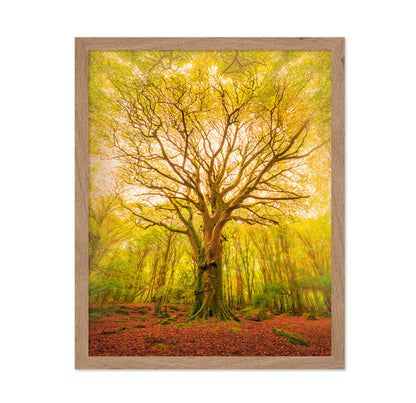 Golden Forest Tree