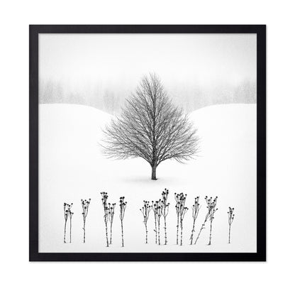 Lone Winter Tree No1